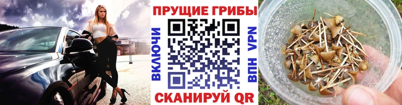 площадка наркотические препараты  Балашиха  Галлюциногенные грибы Psilocybine cubensis 